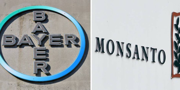 Bayer annonce le rachat de Monsanto pour 66 milliards de dollars