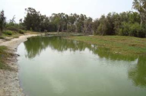 ZONE DE PRODUCTION HORTICOLE DE PIKINE : Mise en péril et menaces sur l’Avenir du poumon vert de Dakar ZONE DE PRODUCTION HORTICOLE DE PIKINE : Mise en péril et menaces sur l’Avenir du poumon vert de Dakar