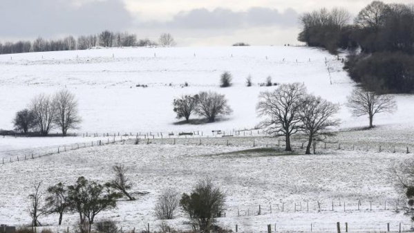 Vague de froid: le gouvernement met en place un "pilotage national quotidien" Vague de froid: le gouvernement met en place un "pilotage national quotidien"