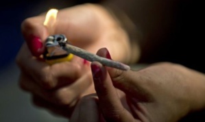 Le cannabis divise les candidats de la primaire socialiste Le cannabis divise les candidats de la primaire socialiste