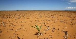 La famine sévit dans une partie du Soudan du Sud