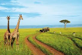 Les touristes africains sont en passe de devenir le moteur du tourisme en Afrique, selon un rapport de la CNUCED
