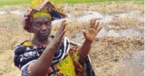 La rizicultrice Korka Diaw distinguée au Maroc