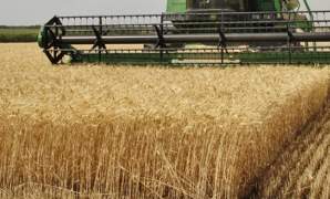 Bayer cède semences et désherbants à BASF pour épouser Monsanto