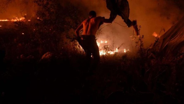 Incendies au Portugal et en Espagne: plus d'une trentaine de morts