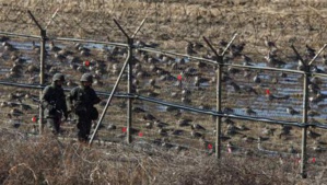 Un militaire nord-coréen blessé en faisant défection au Sud Un militaire nord-coréen blessé en faisant défection au Sud