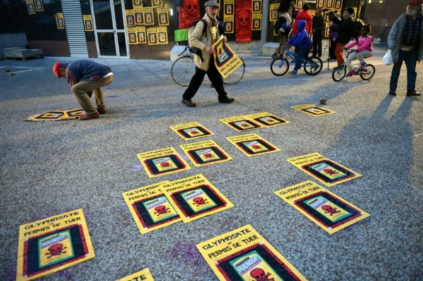 L'UE renouvelle le glyphosate pour 5 ans, colère des ONG L'UE renouvelle le glyphosate pour 5 ans, colère des ONG