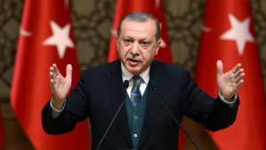 Quinconque manifeste contre l'offensive turque en Syrie "paiera le prix" (Erdogan)