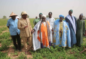 Ape, Fcfa, Intégration régionale : «France Dégage» écrit au Président Sall Ape, Fcfa, Intégration régionale : «France Dégage» écrit au Président Sall