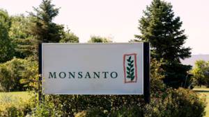 Le Wall Street Journal annonce le feu vert US à la fusion Monsanto-Bayer