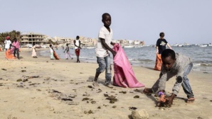 A Dakar, la célèbre plage de Ngor débarrassée de ses déchets