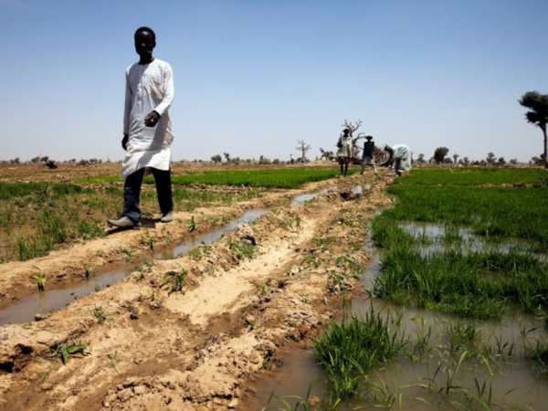 Nigeria: Le conflit fermiers-bergers fait des milliers de déplacés Nigeria: Le conflit fermiers-bergers fait des milliers de déplacés