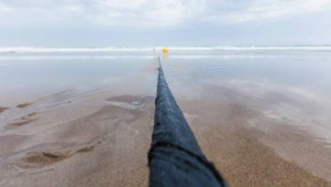 Image d'illustration Image d'illustration