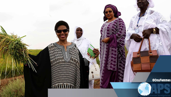 Richard-Toll : la directrice d’ONU Femmes salue le ’’dynamisme’’ des productrices de riz