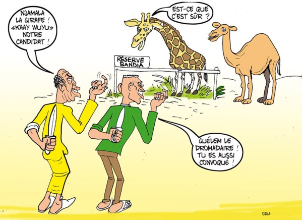 ODIA, l'édito du jour