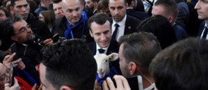 La politique pour les nuls: lettre ouverte au Président de la République Française La politique pour les nuls: lettre ouverte au Président de la République Française