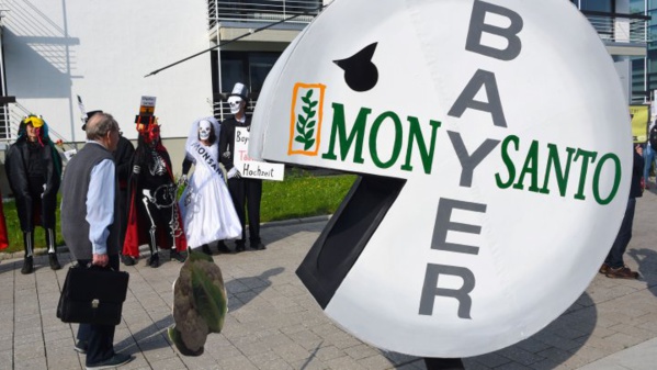 Avec la nouvelle condamnation de Monsanto aux États-Unis, "on change de dimension" Avec la nouvelle condamnation de Monsanto aux États-Unis, "on change de dimension"