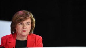 EUROPÉENNES: Loiseau sur une liste d'extrême-droite, railleries de l'opposition