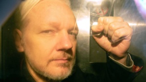 Julian Assange condamné à 50 semaines de prison
