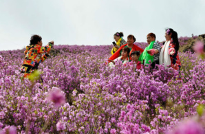 Le développement économique de la Chine est plein de résilience Le développement économique de la Chine est plein de résilience