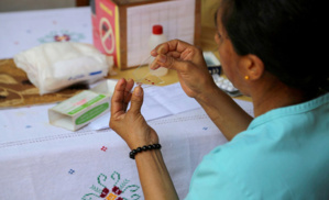 L’Algérie et l’Argentine ont réussi à éradiquer le paludisme (OMS) L’Algérie et l’Argentine ont réussi à éradiquer le paludisme (OMS)