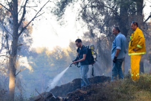 Une vague de chaleur provoque des feux de forêt en Israël Une vague de chaleur provoque des feux de forêt en Israël