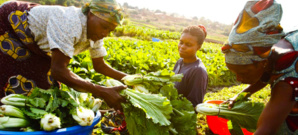 Des centaines de millions de personnes tombent malade chaque année à cause d’une nourriture contaminée Des centaines de millions de personnes tombent malade chaque année à cause d’une nourriture contaminée