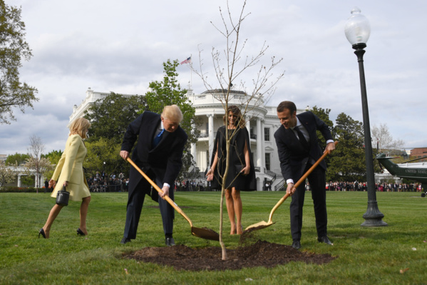 L'arbre symbolisant l'amitié Macron-Trump n'a pas survécu L'arbre symbolisant l'amitié Macron-Trump n'a pas survécu