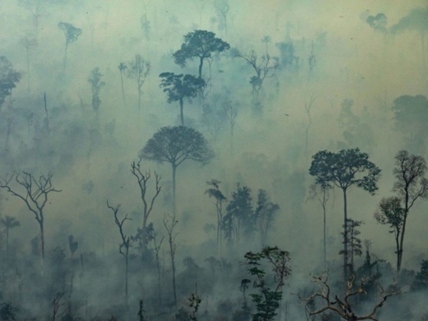 Incendies en Amazonie: des centaines de nouveaux feux, l'émotion grandit Incendies en Amazonie: des centaines de nouveaux feux, l'émotion grandit