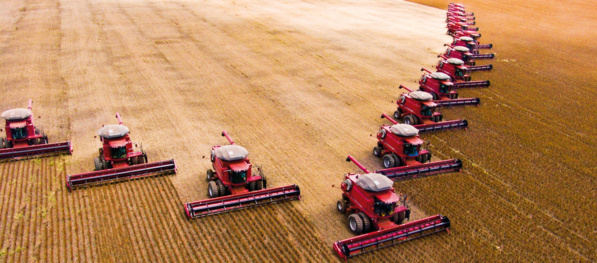 Amazonie : Derrière les feux, l'appétit pour le bœuf et le soja Amazonie : Derrière les feux, l'appétit pour le bœuf et le soja