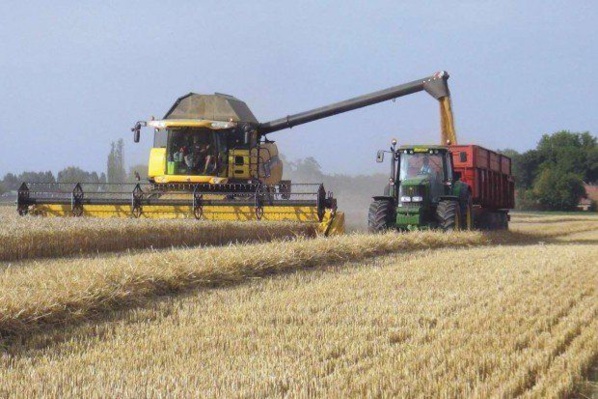 Combler les inégalités d’opportunités au Sahel (par Annette Dixon & Hafez Ghanem, Banque mondiale) Combler les inégalités d’opportunités au Sahel (par Annette Dixon & Hafez Ghanem, Banque mondiale)