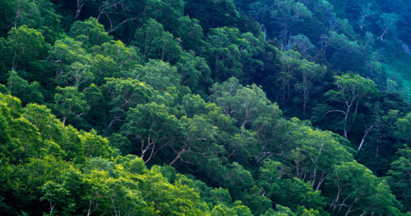 Des milliards promis pour le Fonds vert Des milliards promis pour le Fonds vert