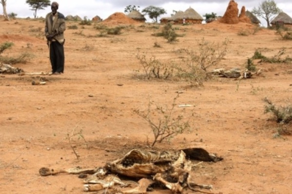 Afrique australe : Une sécheresse persistante menace 45 millions de personnes