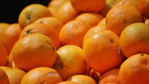 La justice valide l'étiquetage «colonies israéliennes» La justice valide l'étiquetage «colonies israéliennes»