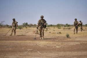 Enfouies dans la brousse du Sahel, les mines meurtrières du jihad Enfouies dans la brousse du Sahel, les mines meurtrières du jihad