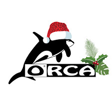 Magasin ORCA : des clients prisonniers d’un ascenseur pendant un quart d’heure