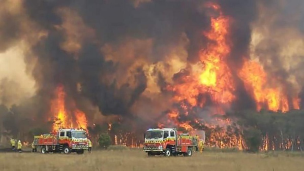 L'Australie se prépare à de nouveaux feux de forêt catastrophiques pour le week-end L'Australie se prépare à de nouveaux feux de forêt catastrophiques pour le week-end