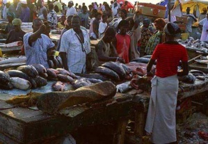 Afrique de l’Ouest : la moitié des dépenses des ménages sont liées à l’alimentation, selon l'OCDE Afrique de l’Ouest : la moitié des dépenses des ménages sont liées à l’alimentation, selon l'OCDE