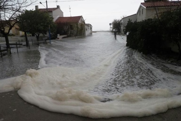 La tempête "Gloria" arrive dans les Pyrénées-Orientales, 1.000 foyers sans électricité La tempête "Gloria" arrive dans les Pyrénées-Orientales, 1.000 foyers sans électricité