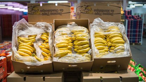 500 kilos de cocaïne découverts dans un chargement de bananes au marché de Rungis (sources concordantes)