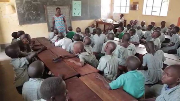 L'ONU célèbre le droit à l’éducation et appelle à en faire une réalité pour tous