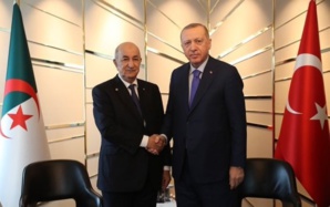 Erdogan à Alger pour discuter Libye et coopération économique Erdogan à Alger pour discuter Libye et coopération économique