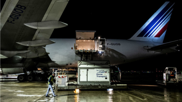 Arrivée en Côte d’Ivoire du corps de l’enfant mort dans un train d’atterrissage Arrivée en Côte d’Ivoire du corps de l’enfant mort dans un train d’atterrissage