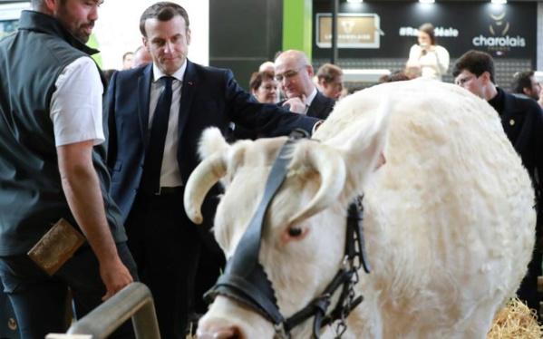 Au Salon de l'Agriculture, Macron cherche à rassurer les nombreux inquiets Au Salon de l'Agriculture, Macron cherche à rassurer les nombreux inquiets