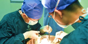 Quand la médecine traditionnelle chinoise contribue à la lutte contre le coronavirus Quand la médecine traditionnelle chinoise contribue à la lutte contre le coronavirus