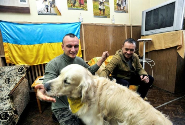 Ukraine : des chiens contre le stress post-trauma des soldats Ukraine : des chiens contre le stress post-trauma des soldats