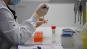 Coronavirus : les pays les plus décimés fustigent leur Exécutif