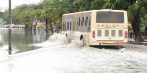 Transports : Dakar Dem Dikk suspend toutes ses lignes de banlieue Transports : Dakar Dem Dikk suspend toutes ses lignes de banlieue