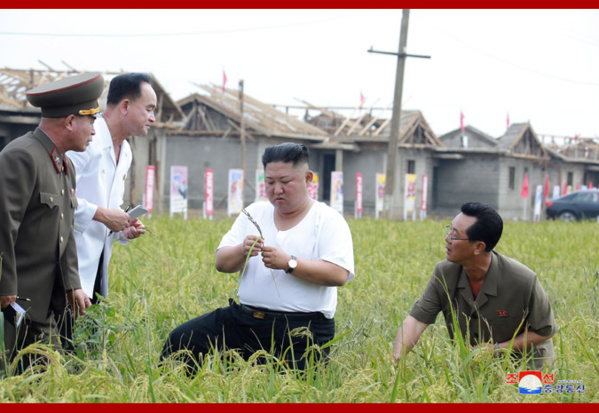 Le Président Kim Jong Un au chantier de réparation des dégâts de l’inondation (ATCC) Le Président Kim Jong Un au chantier de réparation des dégâts de l’inondation (ATCC)