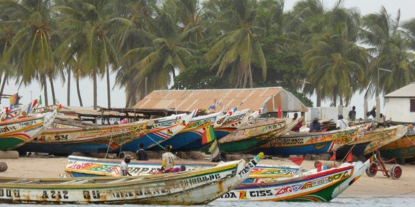 Fatick : plus de 70 migrants clandestins interceptés à Djiffer (sécurité) Fatick : plus de 70 migrants clandestins interceptés à Djiffer (sécurité)